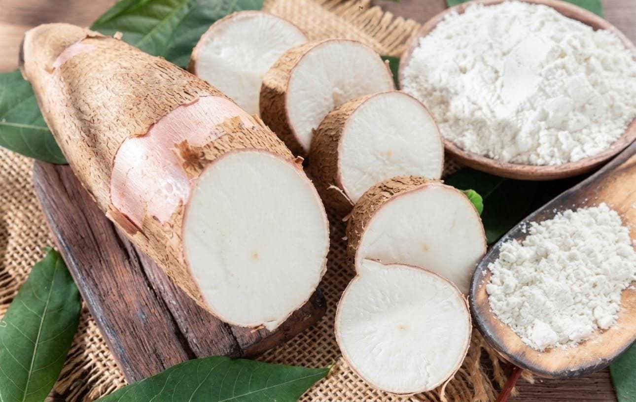 Raíces de yuca y almidón de yuca