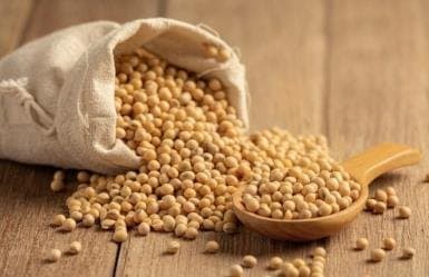 Granos de soya derramados de un saco